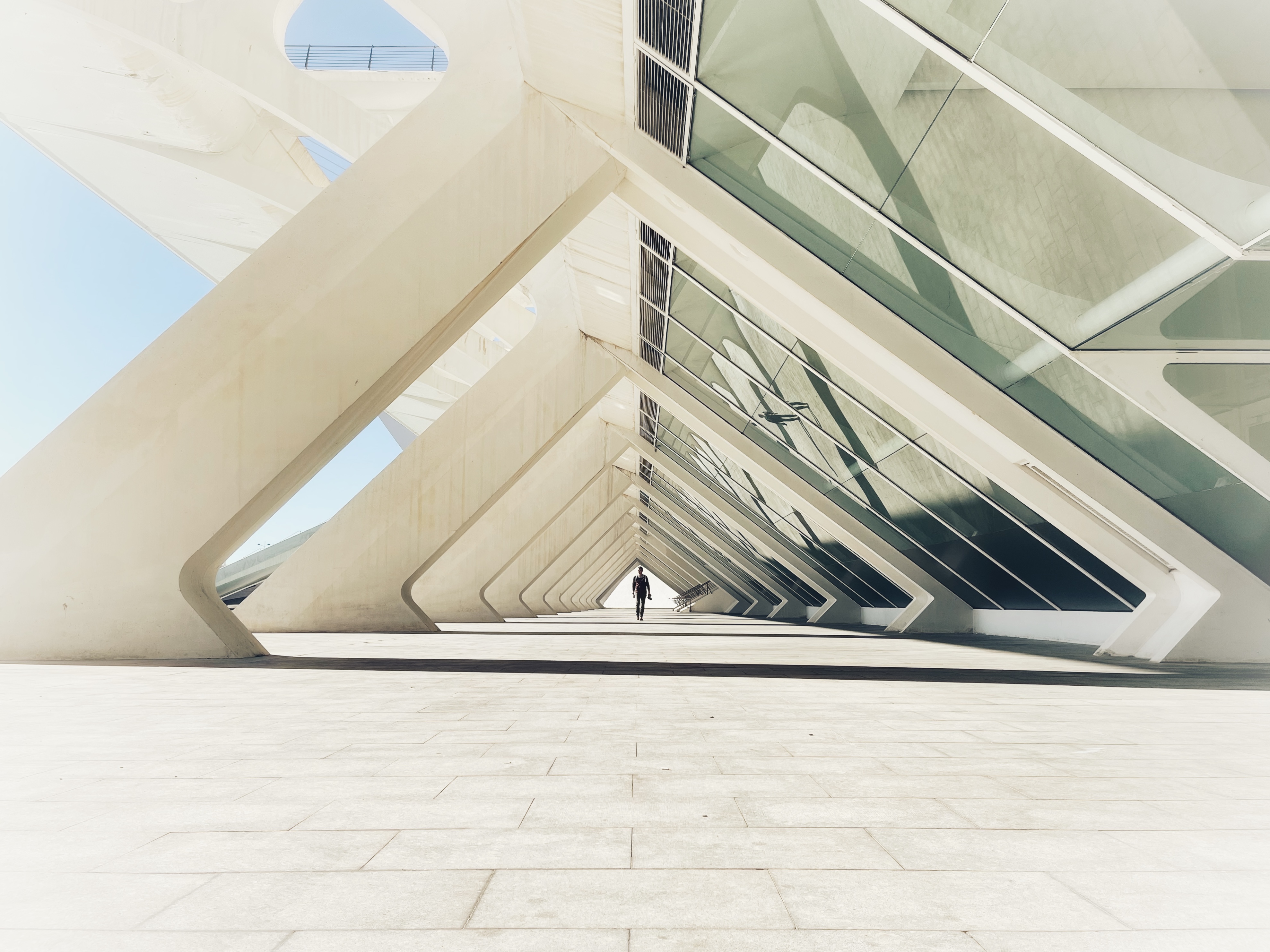 Lichte architectuur met ritmische draagconstructies en een glazen gevel